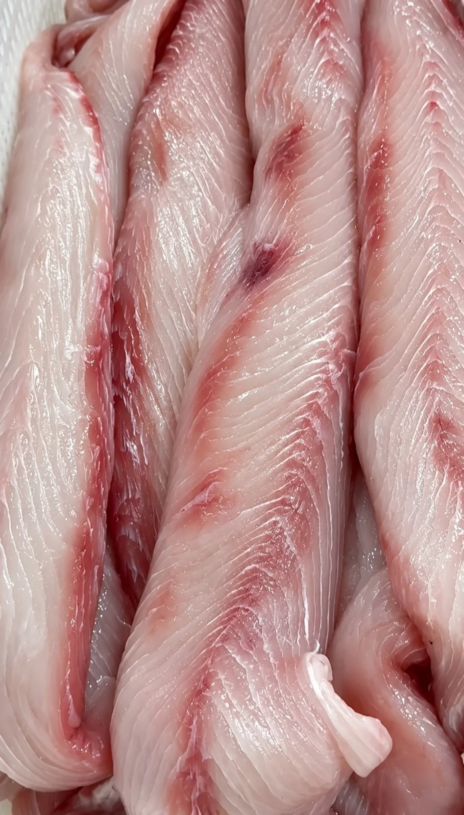 Fresh Brazilian Mahi Mahi fillets prepared for wholesale and foodservice buyers