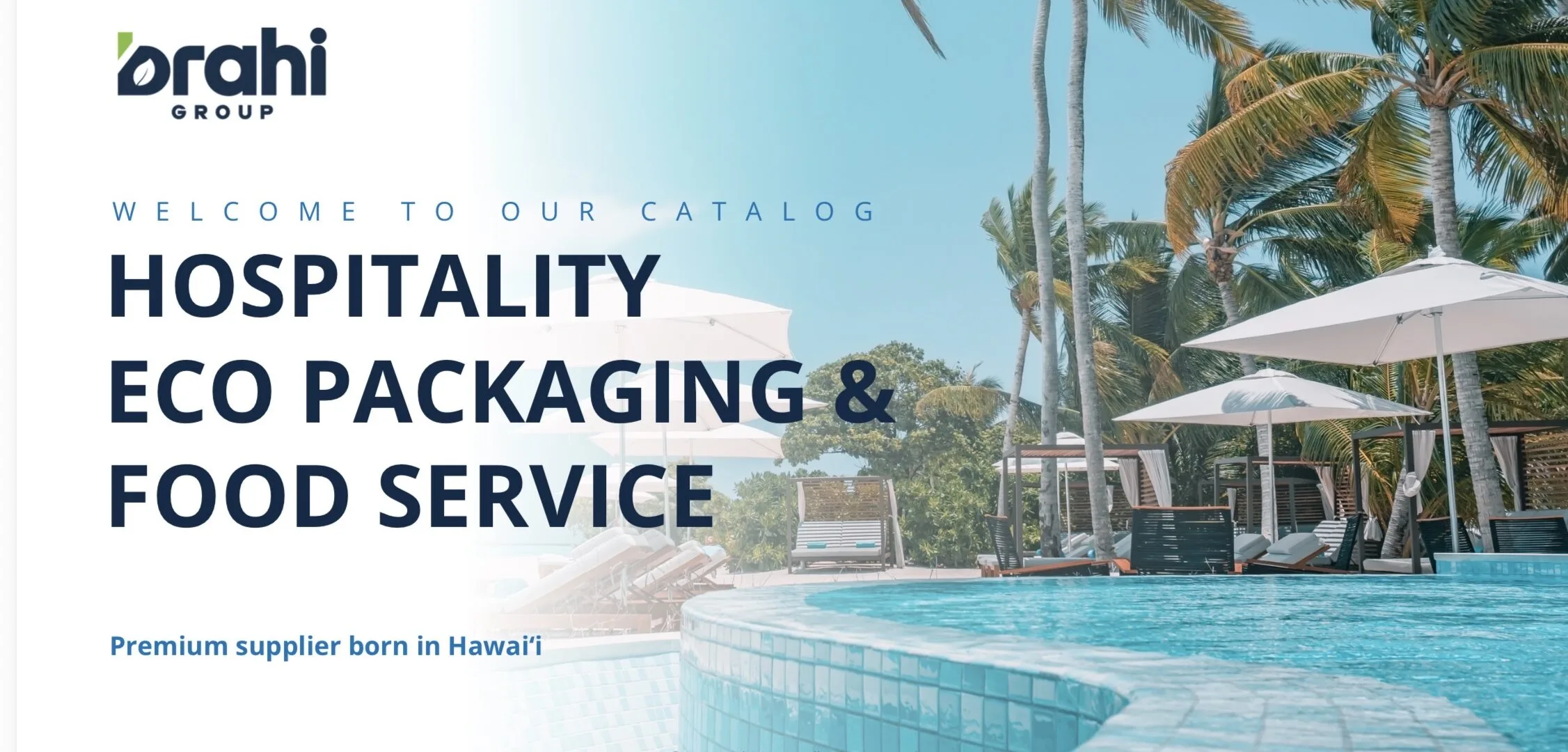Brahi Group catalog cover for hospitality, eco packaging and foodservice supply