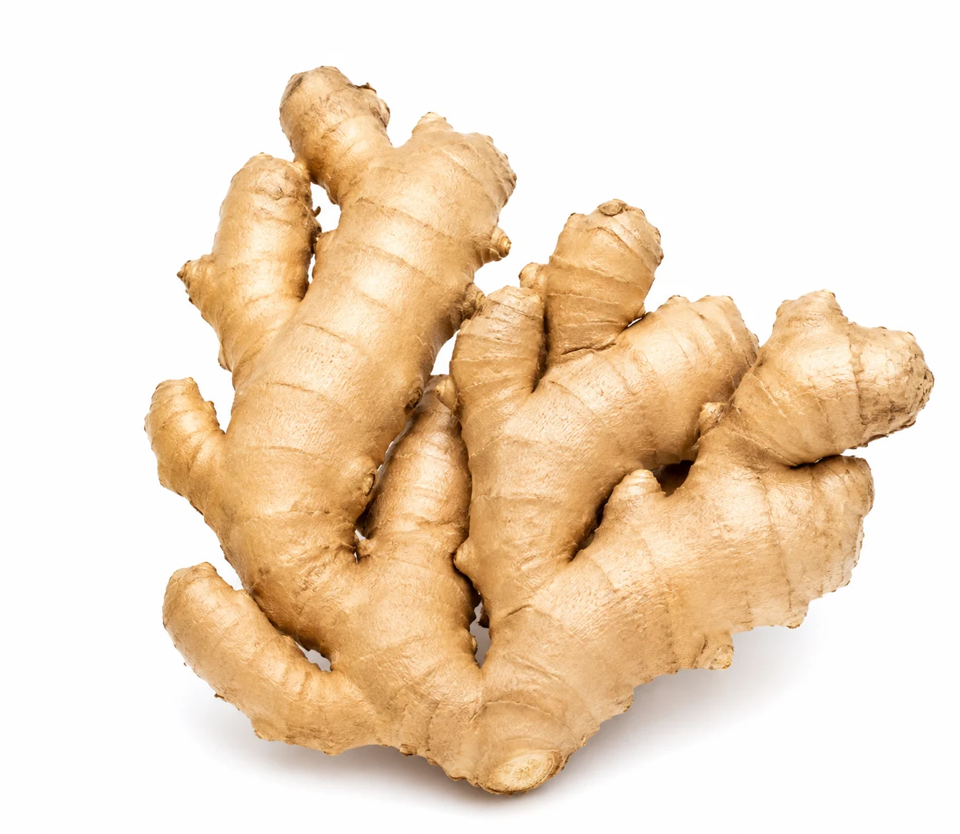 Fresh Brazilian ginger for distributors and wholesale buyers