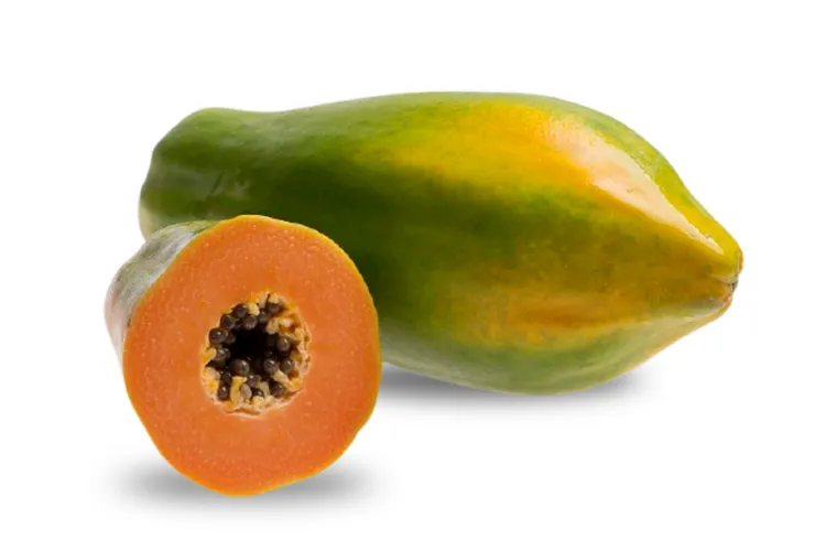 Fresh Brazilian papaya prepared for wholesale export to U.S. importers